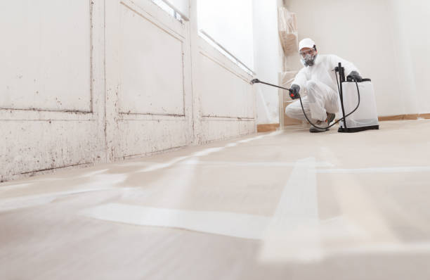 24/7 Emergency Mold Testing experts in Merchantville, NJ