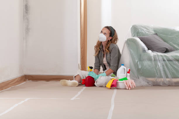 Reliable Mold Cleanup contractor in Merchantville, NJ by Cheap Mold Removal